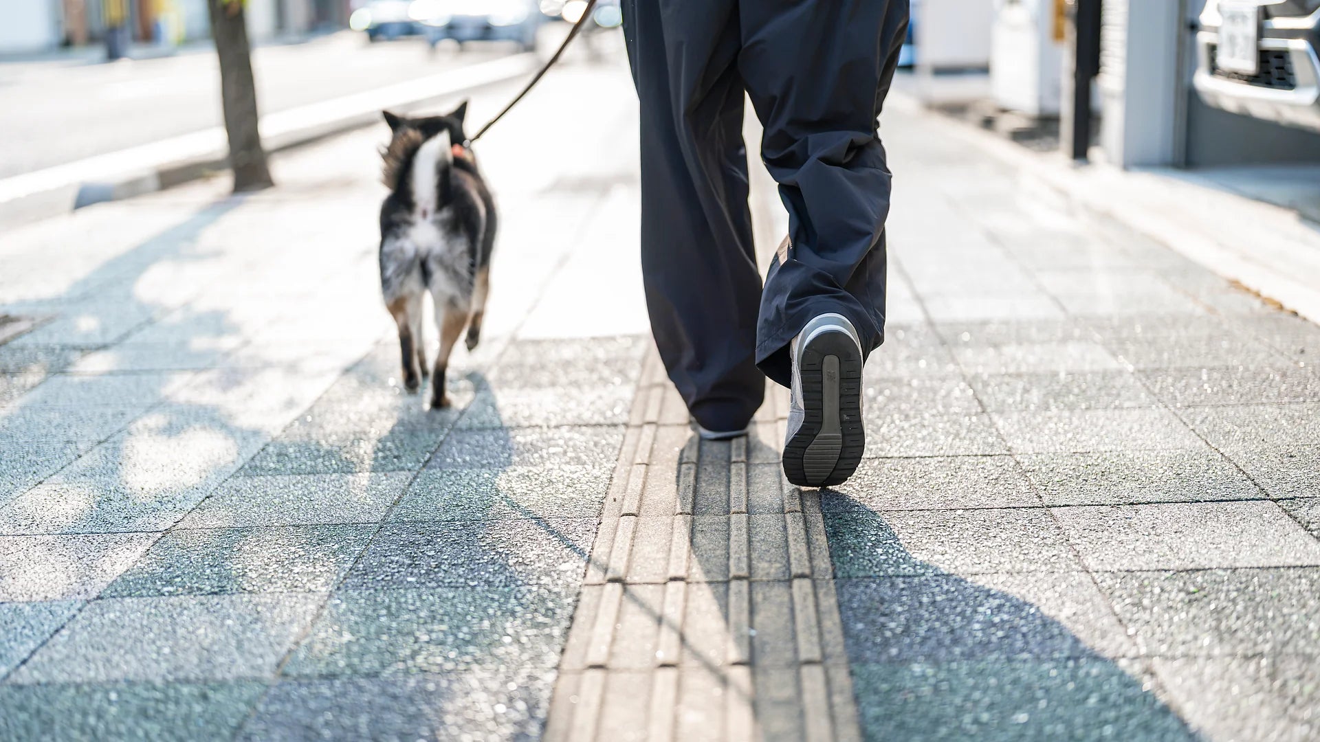 愛犬と同じ道を歩く武内理貴選手の足元