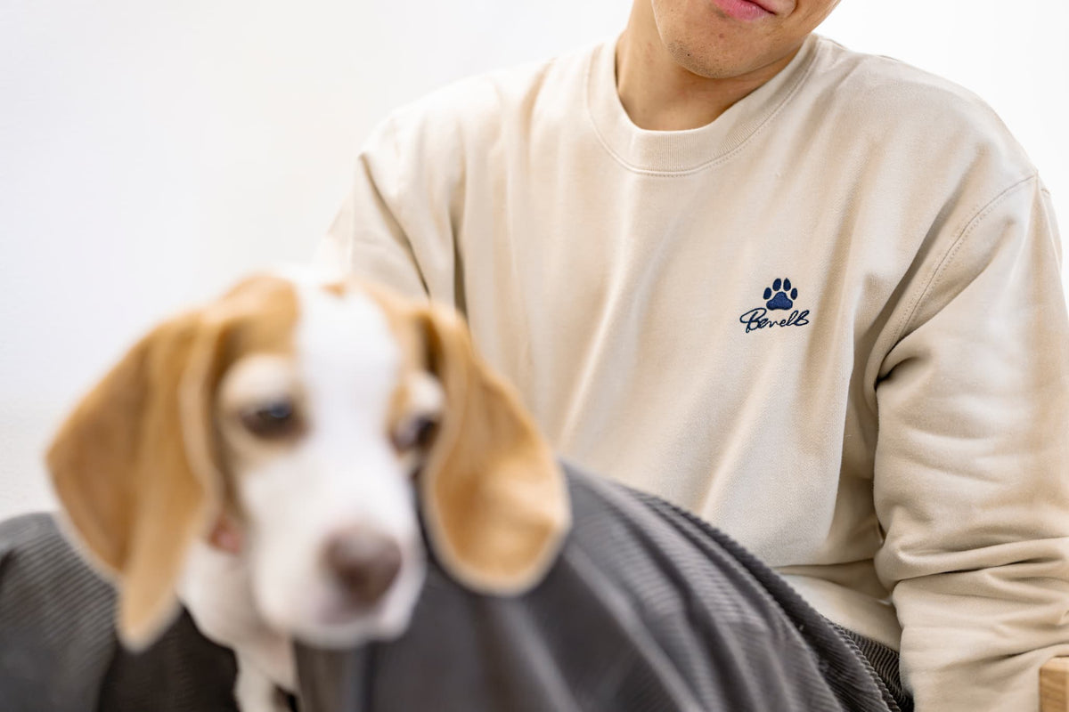 BENELL LOGO SWEAT